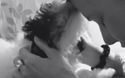 If You Promise Your Kid a Puppy …